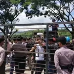 Kantor DPRD Koltim Dilempari Tomat Busuk Kantor DPRD Koltim Dilempari Tomat Busuk