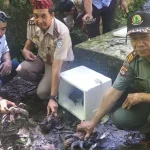 17 Ekor Kepiting Kelapa yang Gagal Diselundupkan Dilepasliarkan di Tirta Rimba 17 Ekor Kepiting Kelapa yang Gagal Diselundupkan Dilepasliarkan di Tirta Rimba
