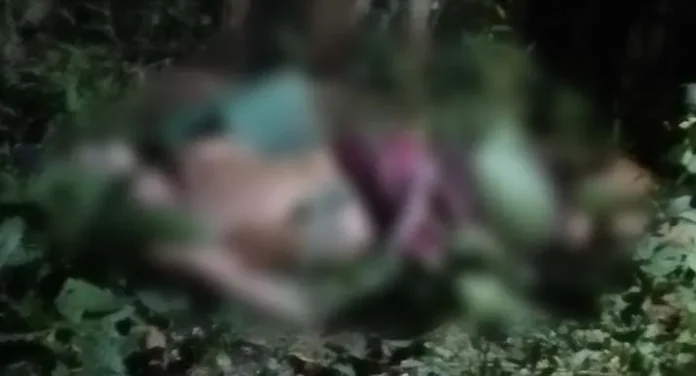Seorang Lansia di Mubar Ditemukan Meninggal di Kebun Warga, Diduga Tersengat Listrik Jeratan Babi