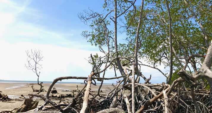 Pantai Pasir Putih, Wisata Baru Desa Watumelewe di Konsel