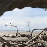 Pantai Pasir Putih, Wisata Baru Desa Watumelewe di Konsel Pantai Pasir Putih, Wisata Baru Desa Watumelewe di Konsel