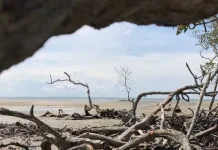 Pantai Pasir Putih, Wisata Baru Desa Watumelewe di Konsel Pantai Pasir Putih, Wisata Baru Desa Watumelewe di Konsel