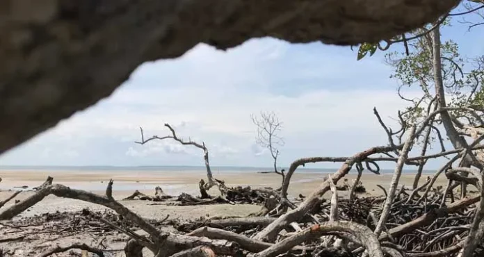 Pantai Pasir Putih, Wisata Baru Desa Watumelewe di Konsel