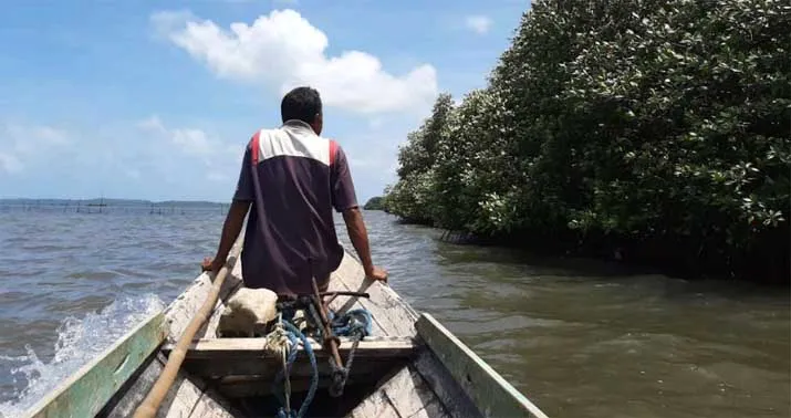 Anak Ikan Paus Terdampar di Wakatobi