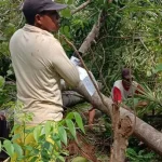 Cerita Warga Bombana Pertahankan Tanahnya dari Perampasan Pengusaha Cina