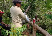 Cerita Warga Bombana Pertahankan Tanahnya dari Perampasan Pengusaha Cina