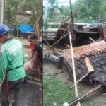 Pohon Tumbang di Konsel Timpa Warung Hingga Kabel PLN Pohon Tumbang di Konsel Timpa Warung Hingga Kabel PLN