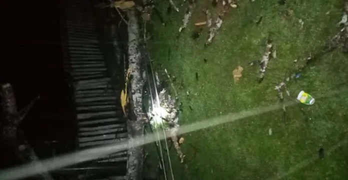 Banyak Pohon Tumbang Sebabkan Listrik Padam di Muna dan Mubar