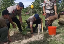 Peduli Lingkungan, Brimob Polda Sultra Tanam Seribu Pohon Peduli Lingkungan, Brimob Polda Sultra Tanam Seribu Pohon