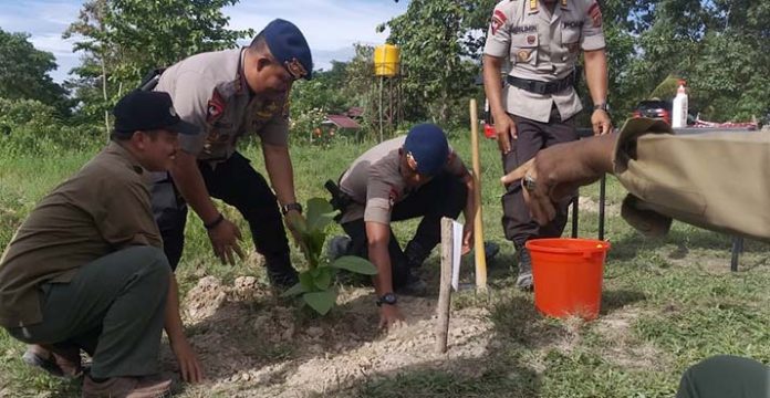 Peduli Lingkungan, Brimob Polda Sultra Tanam Seribu Pohon