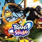 transstudio