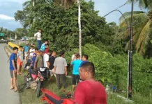 Hilang Kendali, Pengendara Asal Muna Tewas di Jembatan Kambara Mubar Hilang Kendali, Pengendara Asal Muna Tewas di Jembatan Kambara Mubar