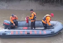 Basarnas Lanjutkan Pencarian Korban Diterkam Buaya di Sungai Kolono Basarnas Lanjutkan Pencarian Korban Diterkam Buaya di Sungai Kolono