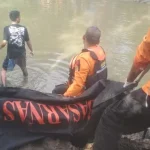 Jasad Remaja di Kolono yang Diterkam Buaya Ditemukan Jasad Remaja di Kolono yang Diterkam Buaya Ditemukan