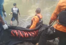 Jasad Remaja di Kolono yang Diterkam Buaya Ditemukan Jasad Remaja di Kolono yang Diterkam Buaya Ditemukan