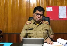 DPM-PTSP Target Realisasi Investasi Sultra 2020 Capai Rp11 Triliun Kepala DPM-PTSP Provinsi Sultra Masmuddin