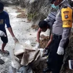 Warga Busel Digemparkan Penemuan Tulang Manusia Tanpa Kepala Warga Busel Digemparkan Penemuan Tulang Manusia Tanpa Kepala