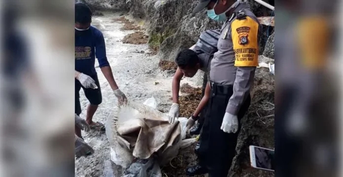 Warga Busel Digemparkan Penemuan Tulang Manusia Tanpa Kepala