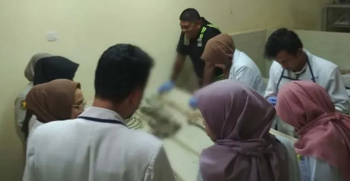 Tulang Manusia Tanpa Kepala di Busel Diduga Warga Vietnam