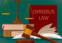 Walhi Sultra Tolak RUU Omnibus Law Pertalindo Sultra Dukung RUU Omnibus Law