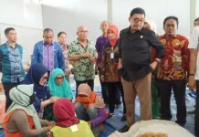 KKP Lirik Potensi Produksi Pabrik Rumput Laut di Bombana KKP Lirik Potensi Produksi Pabrik Rumput Laut di Bombana