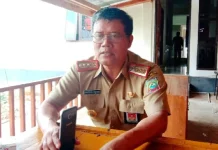 Hewan Ternak Berkeliaran di Konut akan Ditembak di Tempat Marthaya konut