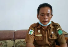 Baru Pulang dari Thailand, Warga Lambuya Ditetapkan PDP Corona Kepala Dinas Kesehatan Konawe, dokter gigi (drg) Mawar Taligana