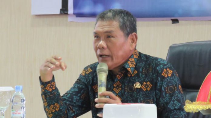 Bupati Kolaka, Ahmad Sjafei