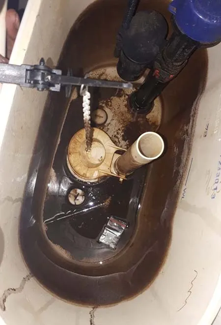 Polisi Grebek Pesta Sabu Empat Anak di Bawah Umur, Barang Bukti Hilang?