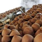 Pemda Bombana Target Bangun Sentra Gula Aren Terpadu di Kabaena Pemda Bombana Target Bangun Sentra Gula Aren Terpadu di Kabaena