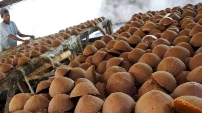 Pemda Bombana Target Bangun Sentra Gula Aren Terpadu di Kabaena