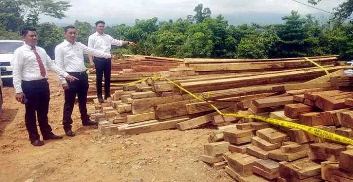 Polres Konut Amankan Kayu Ilegal di Kawasan Hutan Produksi