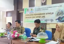 BKSDA Sultra Siapkan Strategi Penanganan Konflik Manusia dan Satwa Liar BKSDA Sultra Siapkan Strategi Penanganan Konflik Manusia dan Satwa Liar