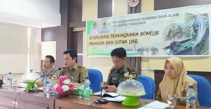 BKSDA Sultra Siapkan Strategi Penanganan Konflik Manusia dan Satwa Liar
