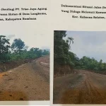 PT Trias Jaya Agung Diduga Terobos Hutan Lindung di Bombana PT Trias Jaya Agung Diduga Terobos Hutan Lindung di Bombana
