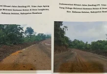 PT Trias Jaya Agung Diduga Terobos Hutan Lindung di Bombana PT Trias Jaya Agung Diduga Terobos Hutan Lindung di Bombana