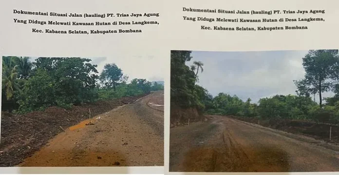 PT Trias Jaya Agung Diduga Terobos Hutan Lindung di Bombana