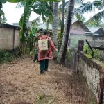 BKSDA Sultra Semprot Disinfektan di Penangkaran Buaya dan Rusa BKSDA Sultra Semprot Disinfektan di Penangkaran Buaya dan Rusa