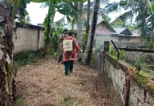 BKSDA Sultra Semprot Disinfektan di Penangkaran Buaya dan Rusa BKSDA Sultra Semprot Disinfektan di Penangkaran Buaya dan Rusa