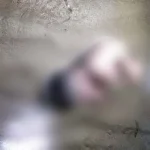 Nelayan Kolut Temukan Jasad Bayi Laki-Laki di Pesisir Pantai Nelayan Kolut Temukan Jasad Bayi Laki-Laki di Pesisir Pantai