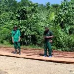 Pelaku Illegal Logging di Konsel Tetap Beraksi di Tengah Wabah Corona Pelaku Illegal Logging di Konsel Tetap Beraksi di Tengah Wabah Corona