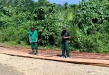 Pelaku Illegal Logging di Konsel Tetap Beraksi di Tengah Wabah Corona Pelaku Illegal Logging di Konsel Tetap Beraksi di Tengah Wabah Corona