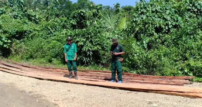 Pelaku Illegal Logging di Konsel Tetap Beraksi di Tengah Wabah Corona