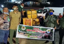 BKSDA Amankan 207 Kg Kima Kering Selundupan dari Wakatobi BKSDA Amankan 207 Kg Kima Kering Selundupan dari Wakatobi