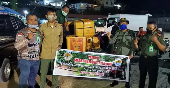 BKSDA Amankan 207 Kg Kima Kering Selundupan dari Wakatobi