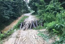 Pemeliharaan Rutin Jalan Provinsi di Wawonii Selatan Konkep Segera Terealisasi Pemeliharaan Rutin Jalan Provinsi di Wawonii Selatan Konkep Segera Terealisasi