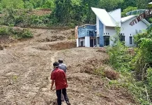 Pemkab Kolut Bangun Kawasan Berbasis Korporasi Kakao Pemkab Kolut Bangun Kawasan Berbasis Korporasi Kakao