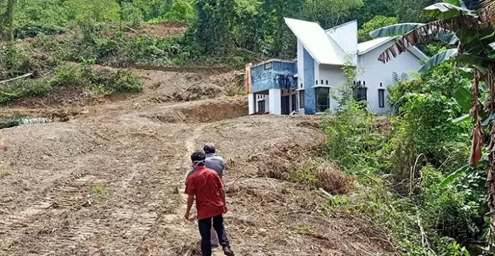 Pemkab Kolut Bangun Kawasan Berbasis Korporasi Kakao