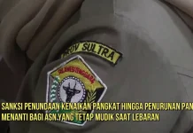 ASN Pemprov Sultra Dilarang Mudik Lebaran