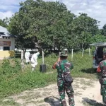 Positif Covid-19, Satu Tenaga Kesehatan Dijemput Petugas Berpakaian APD Lengkap Positif Covid-19, Satu Tenaga Kesehatan Dijemput Petugas Berpakaian APD Lengkap